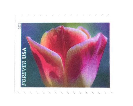 100 Forever Tulip Stamps Unused Vintage Pink Tulips Postage Spring Jewel Tone Flower Garden Stamps for Mailing